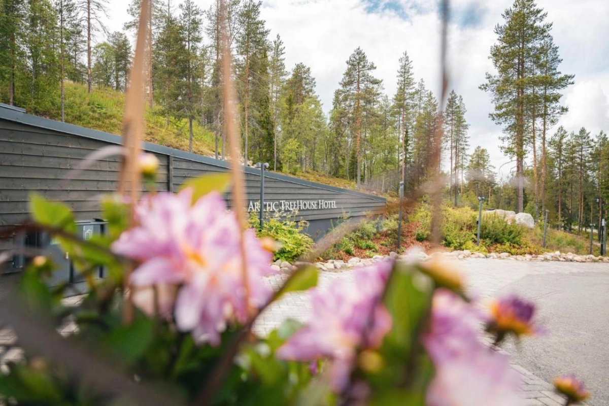 Arctic TreeHouse Hotel - Hotel Photo 2