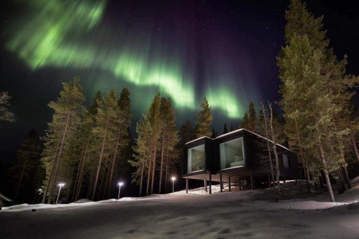 Arctic TreeHouse Hotel - Hotel Photo 3