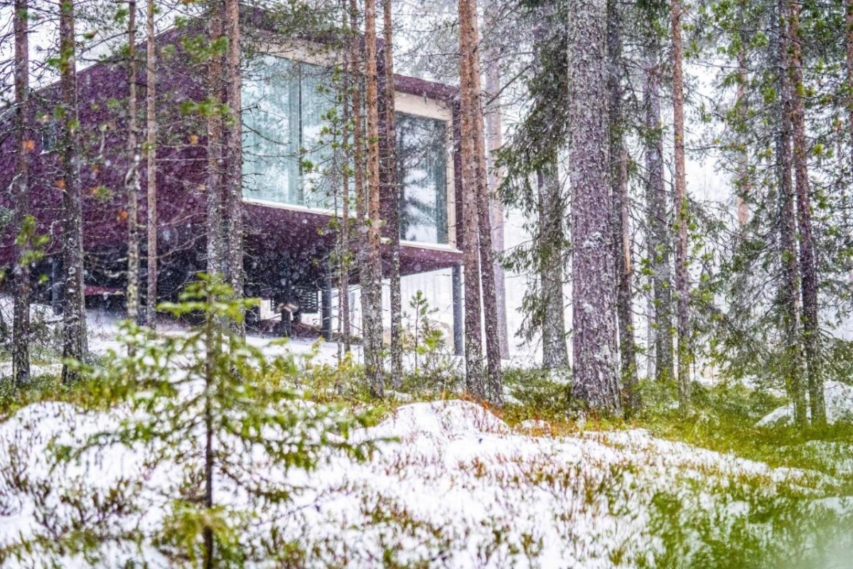 Arctic TreeHouse Hotel - Hotel Photo 6