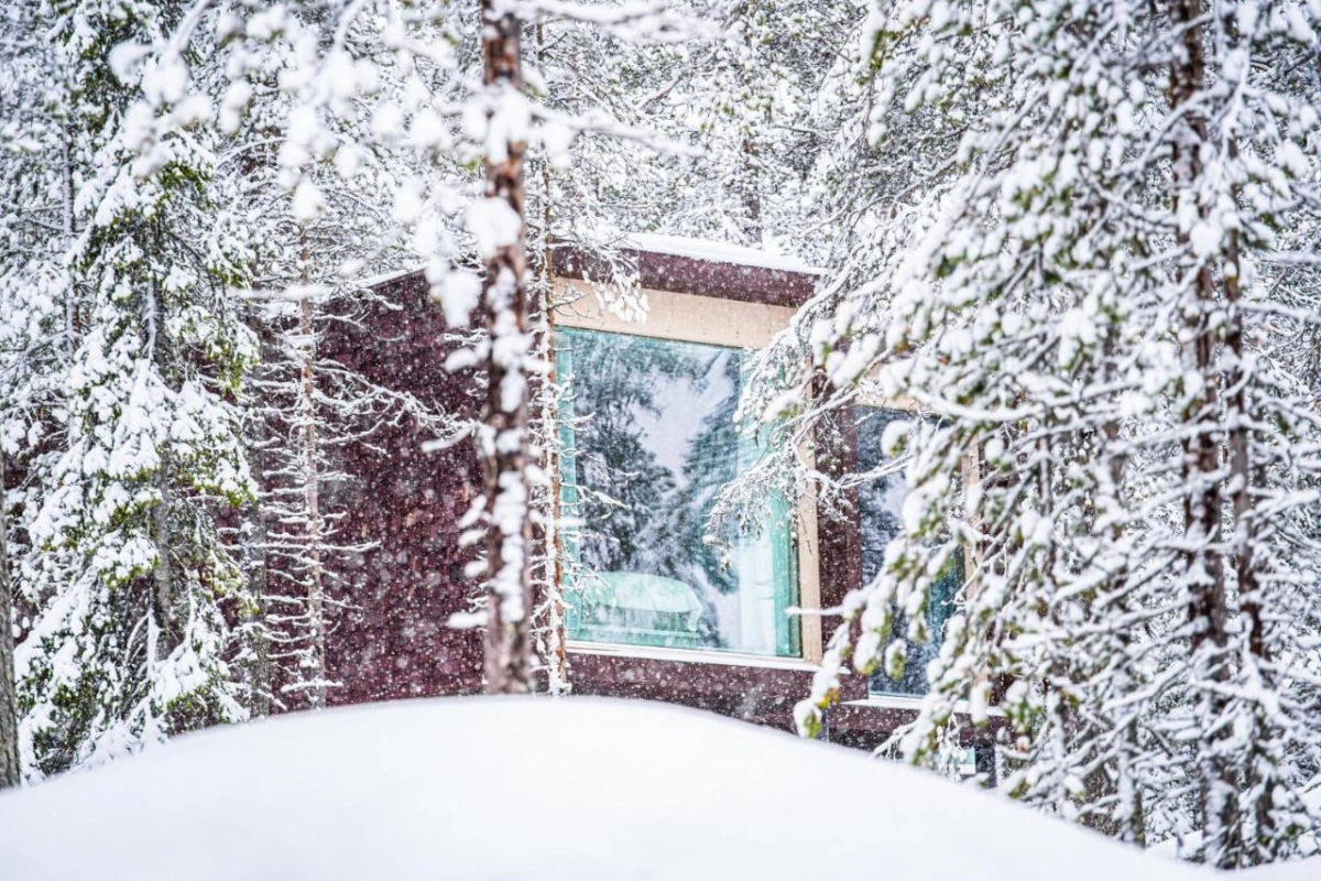 Arctic TreeHouse Hotel - Hotel Photo 7