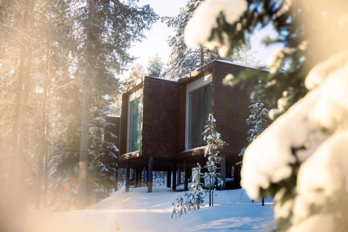 Arctic TreeHouse Hotel - Hotel Photo 8