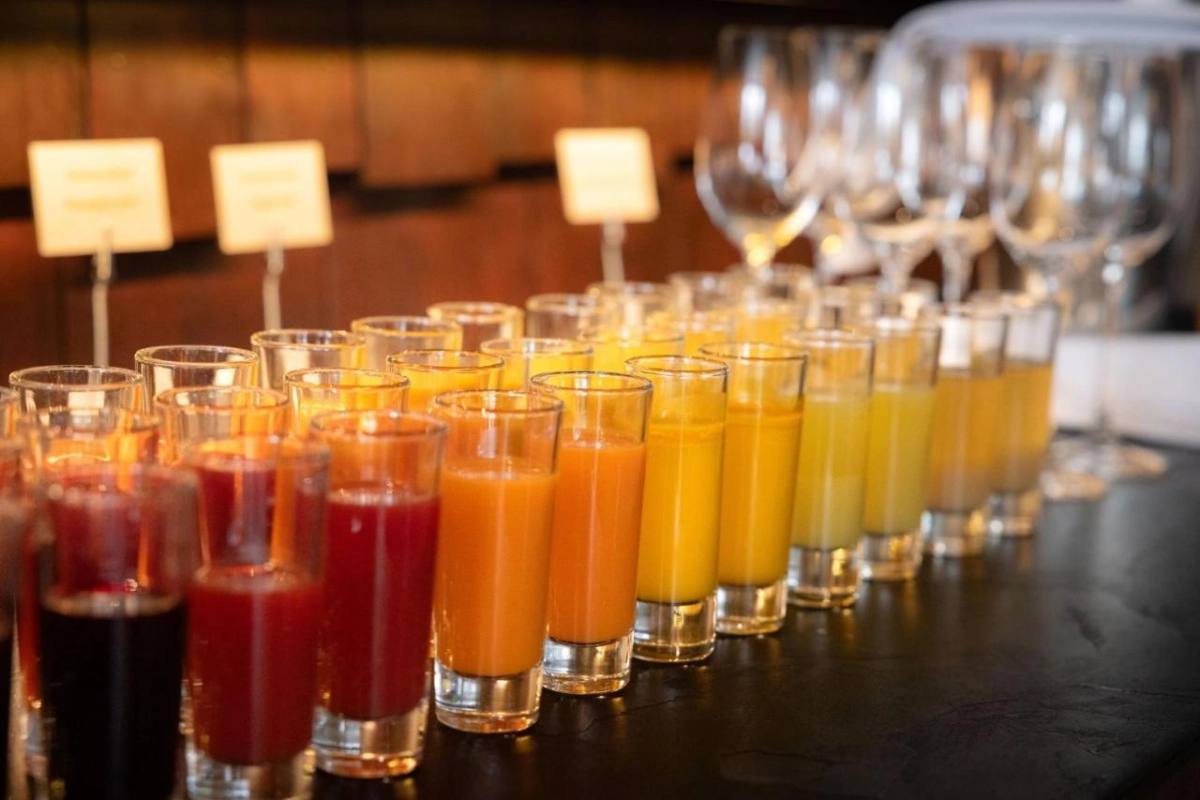 Arctic TreeHouse Hotel - Hotel Photo 17