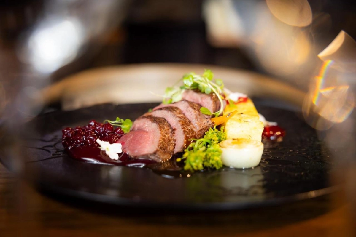 Arctic TreeHouse Hotel - Hotel Photo 19