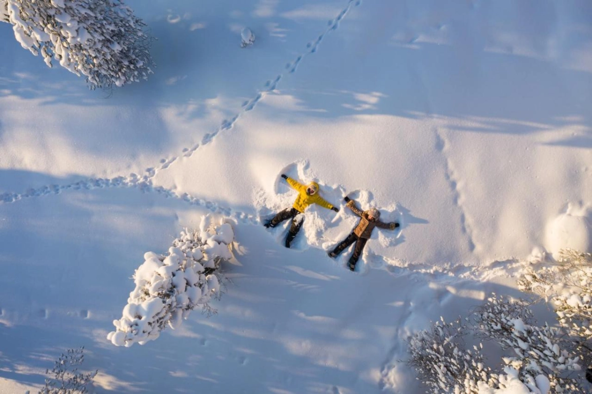 Arctic TreeHouse Hotel - Hotel Photo 28