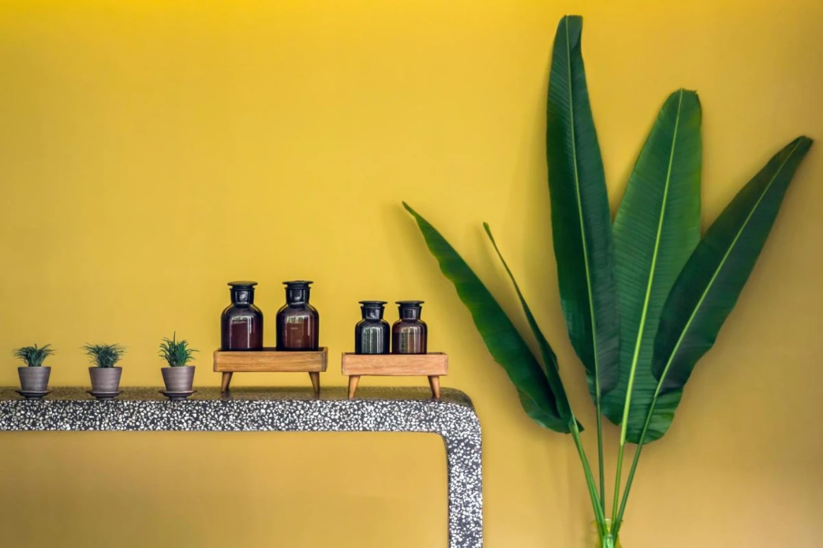 Viroths Hotel - Hotel Photo 44