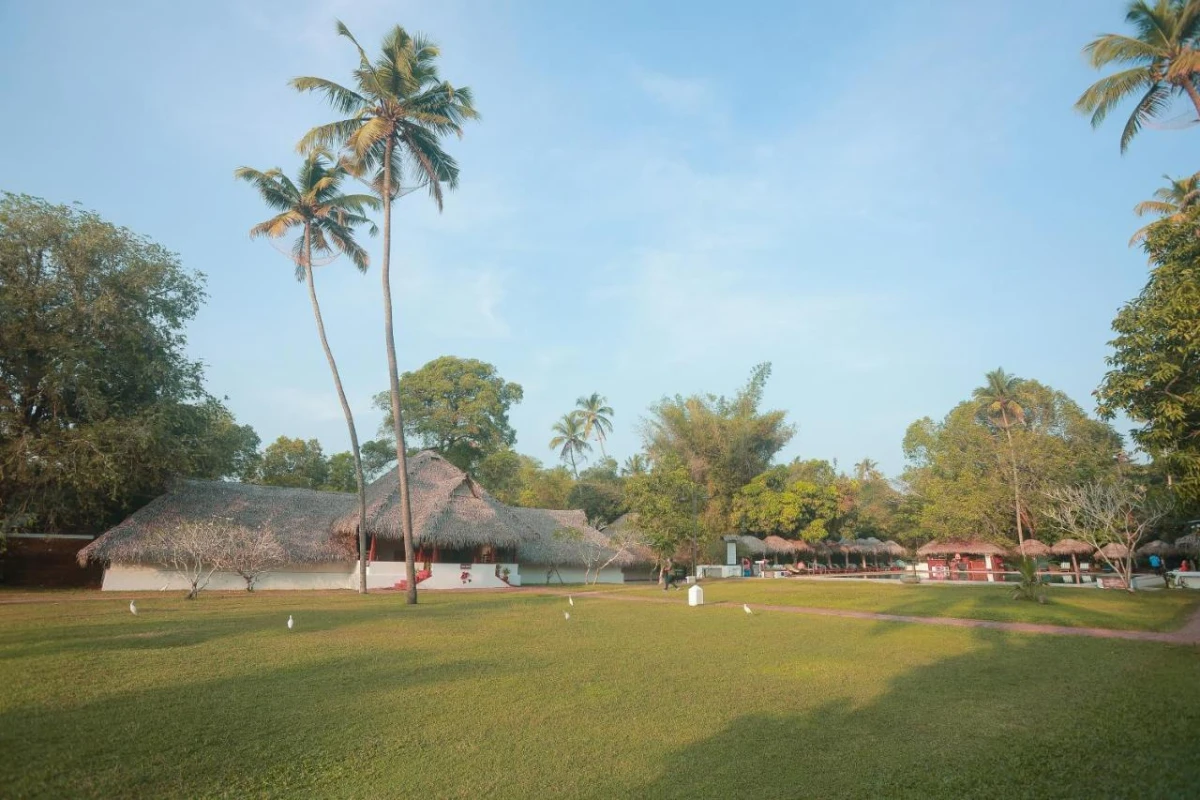 Marari Beach Resort - Hotel Photo 2