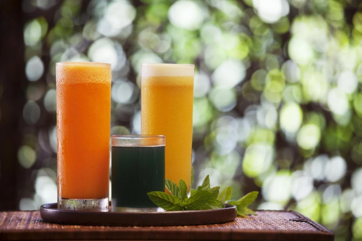 Six Senses Fort Barwara - Hotel Photo 24