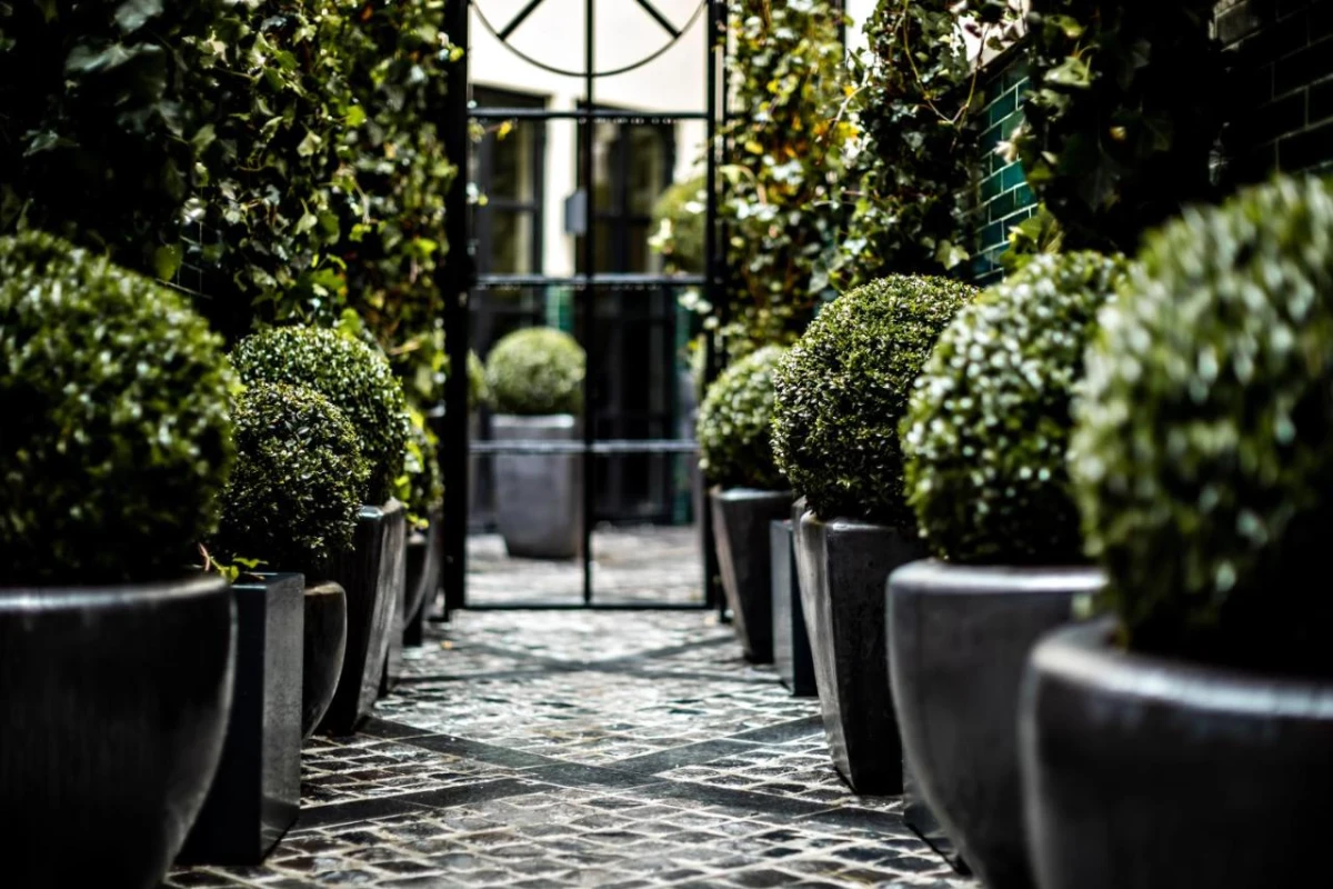 Monsieur George Hotel & Spa - Hotel Photo 18