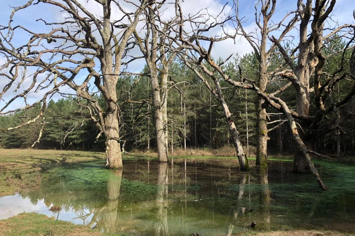 Loire Valley Lodges Hotel - Hotel Photo 5