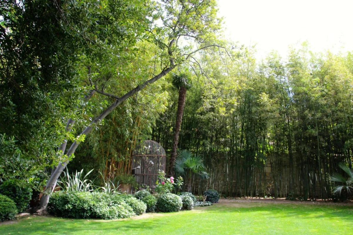 La Divine Comedie - Hotel Photo 9