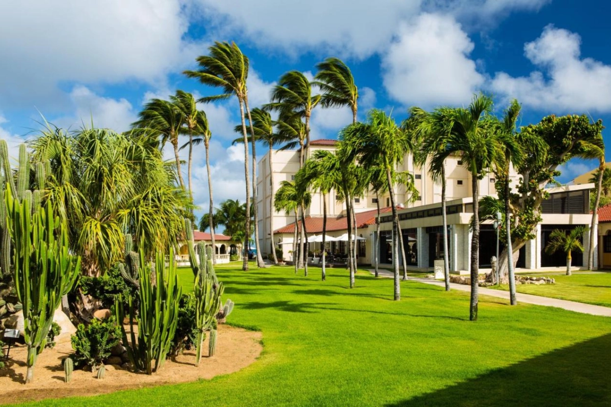 Bucuti & Tara Beach Resort - Hotel Photo 17