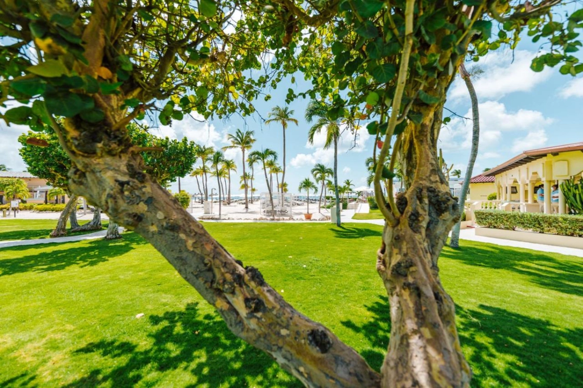 Bucuti & Tara Beach Resort - Hotel Photo 51