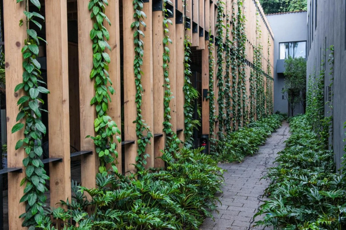 Cinco Rodavento - Hotel Photo 6