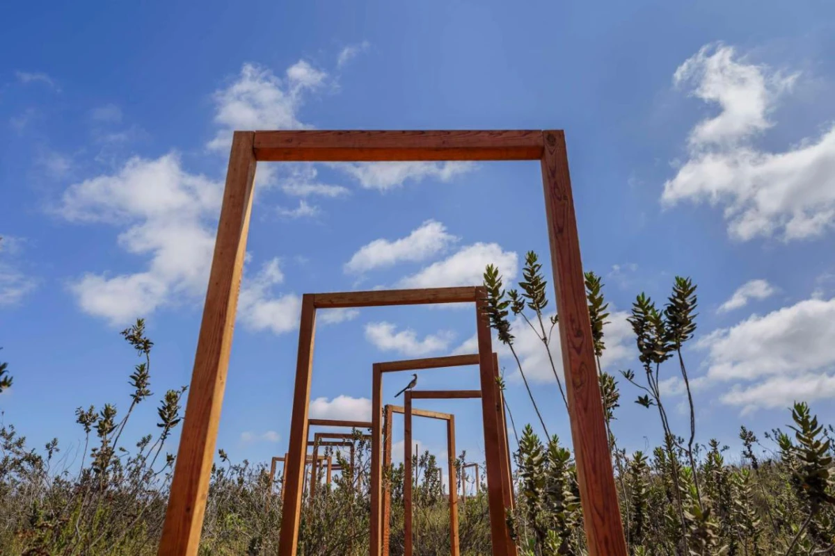 Banyan Tree Veya Valle de Guadalupe - Hotel Photo 3