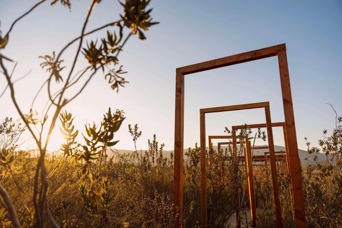 Banyan Tree Veya Valle de Guadalupe - Hotel Photo 8