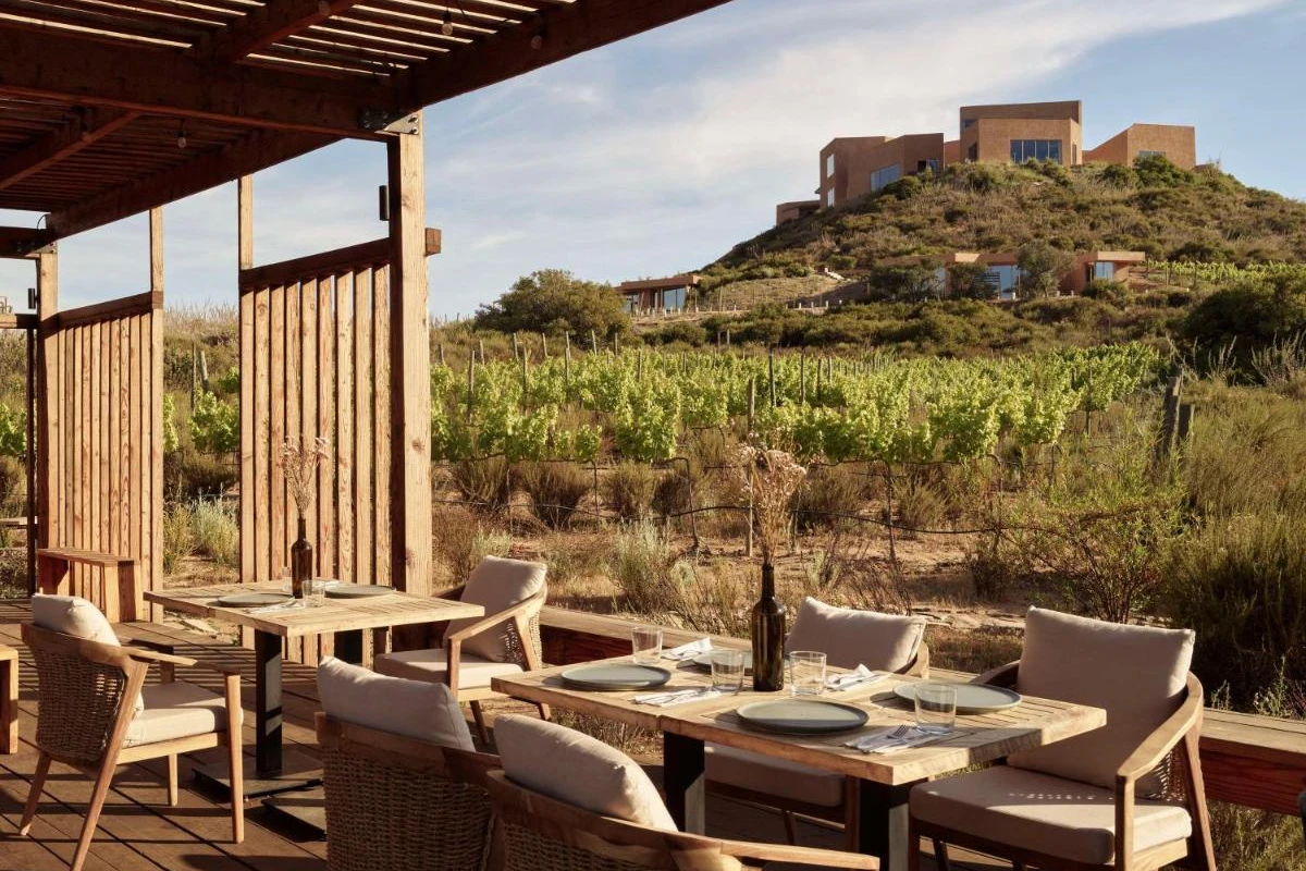 Banyan Tree Veya Valle de Guadalupe - Hotel Photo 22