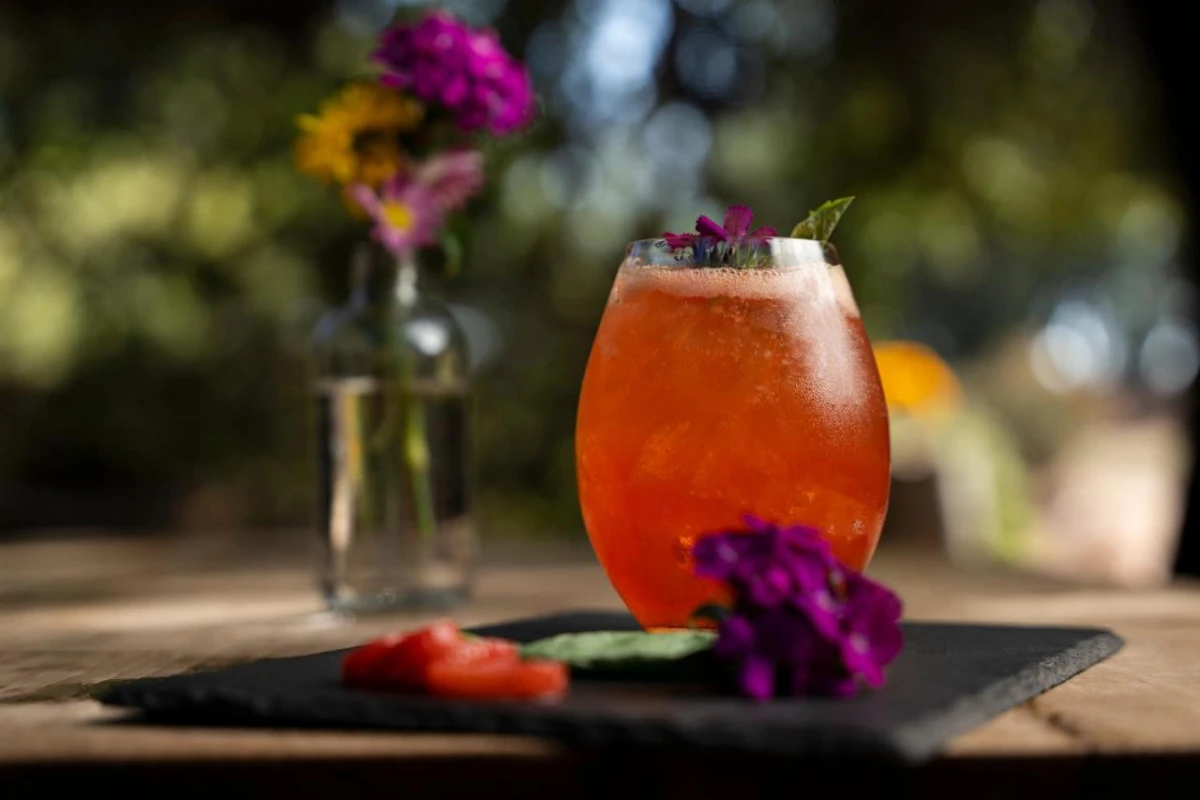 Banyan Tree Veya Valle de Guadalupe - Hotel Photo 40