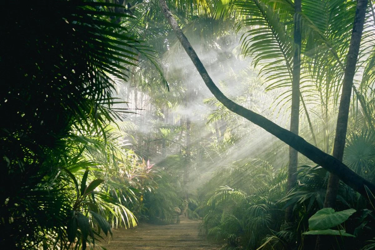 Be Tulum - Hotel Photo 6