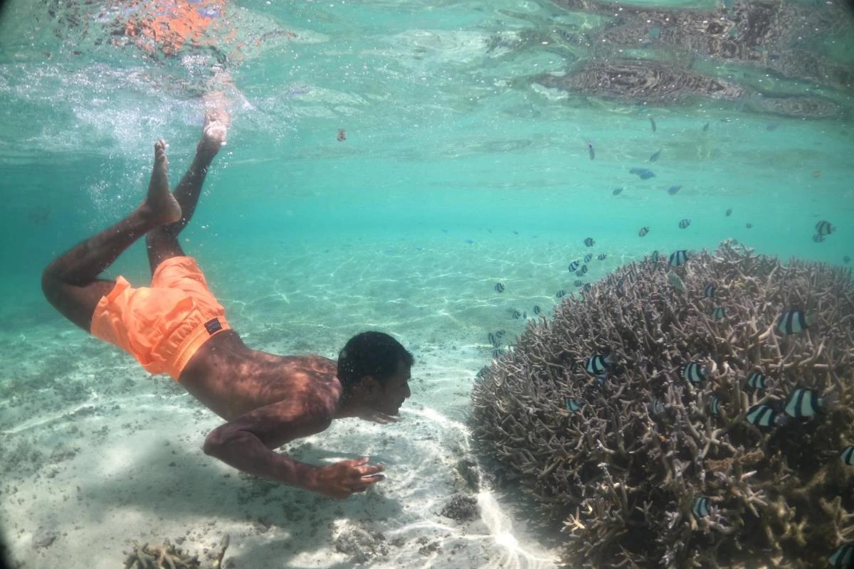 Astroea Beach - Hotel Photo 32