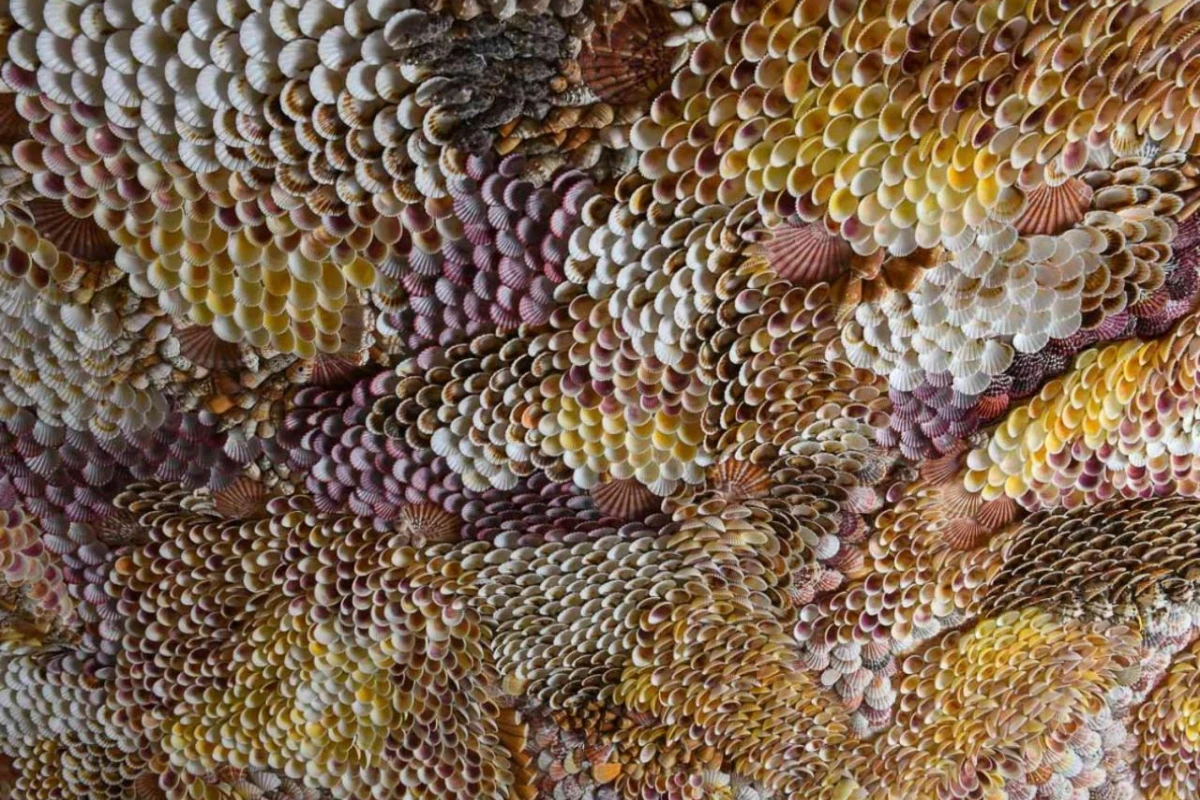 Hotel Palazzo Durazzo Suites - Hotel Photo 42