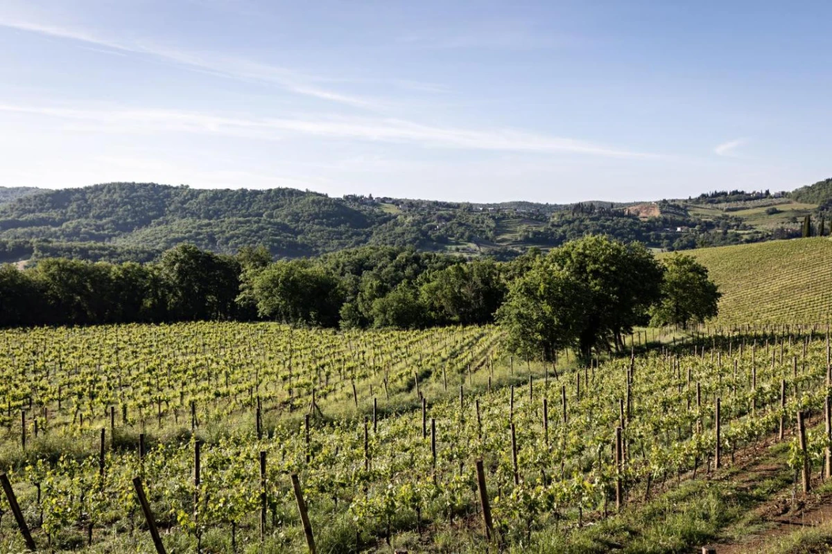 Pieve Aldina Relais & Chateaux - Hotel Photo 7