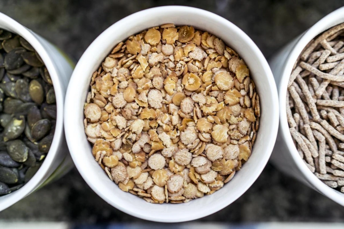 Hotel Lefay Resort & Spa Dolomiti - Hotel Photo 10