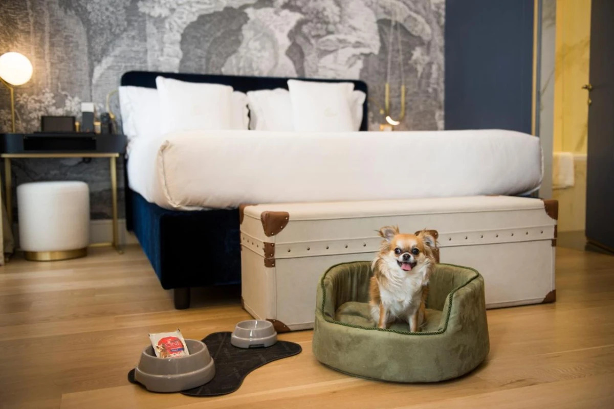 Elizabeth Unique Hotel Rome - Hotel Photo 45