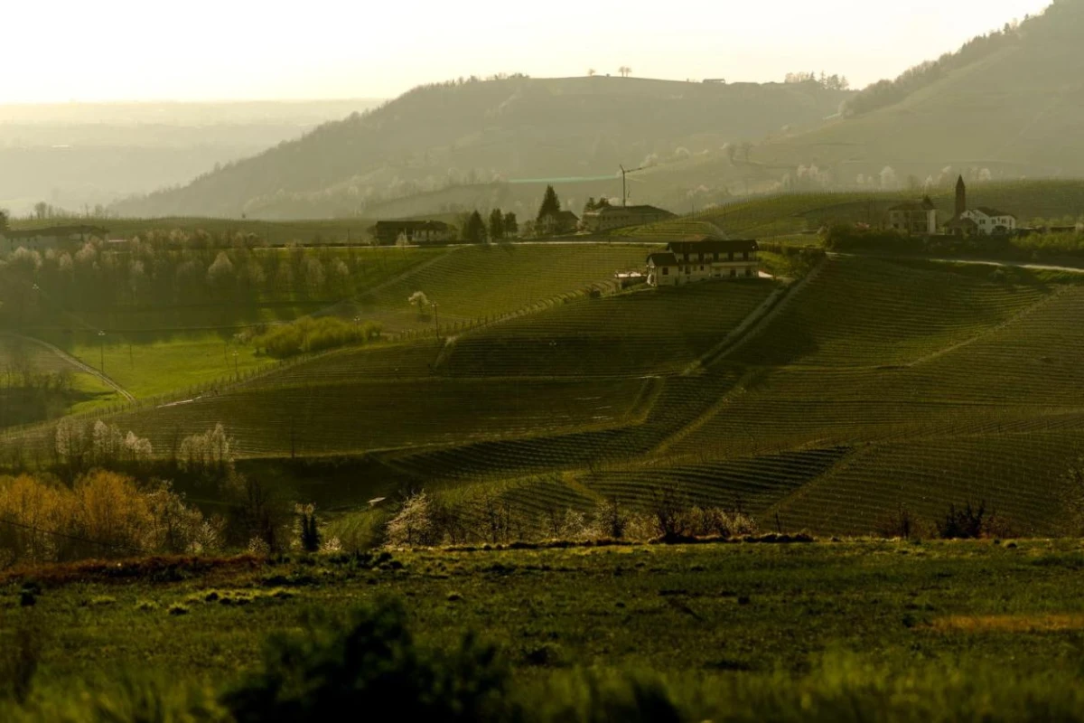 Casa Di Langa - Hotel Photo 36