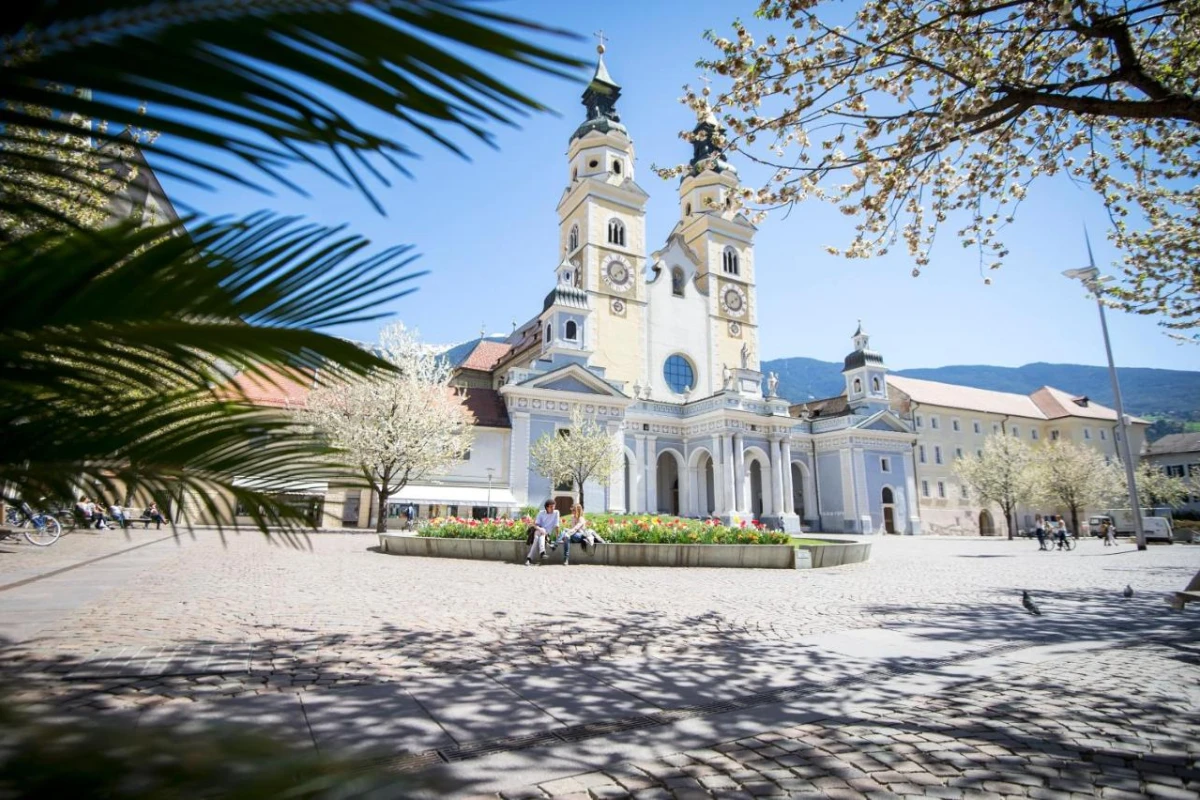 My Arbor - Hotel Photo 35