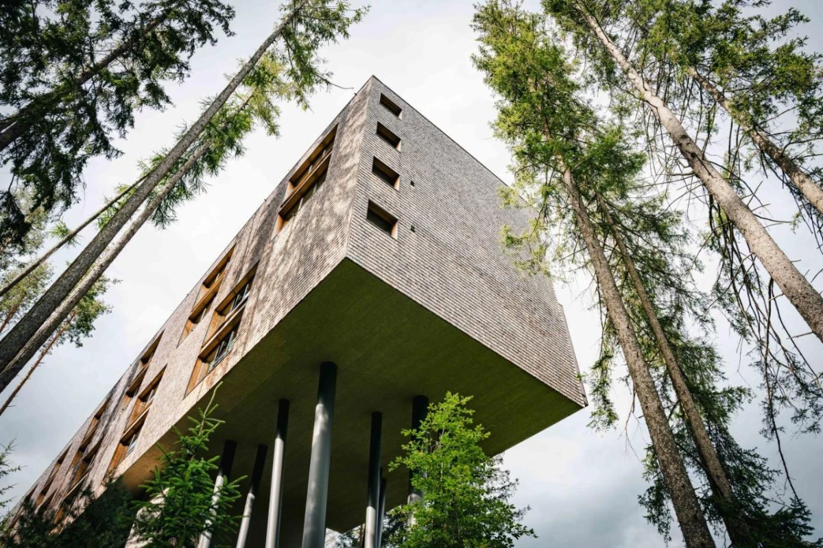 My Arbor - Hotel Photo 38