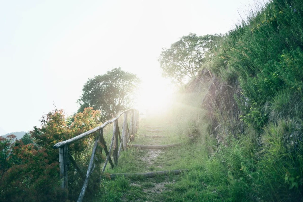 Lefay Resort & Spa Lago Di Garda - Hotel Photo 22