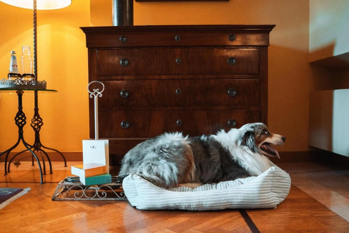 L'Albereta Relais And Chateaux - Hotel Photo 33