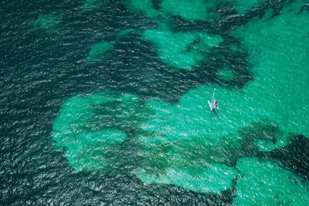 Paradisus Grand Cana - Hotel Photo 26