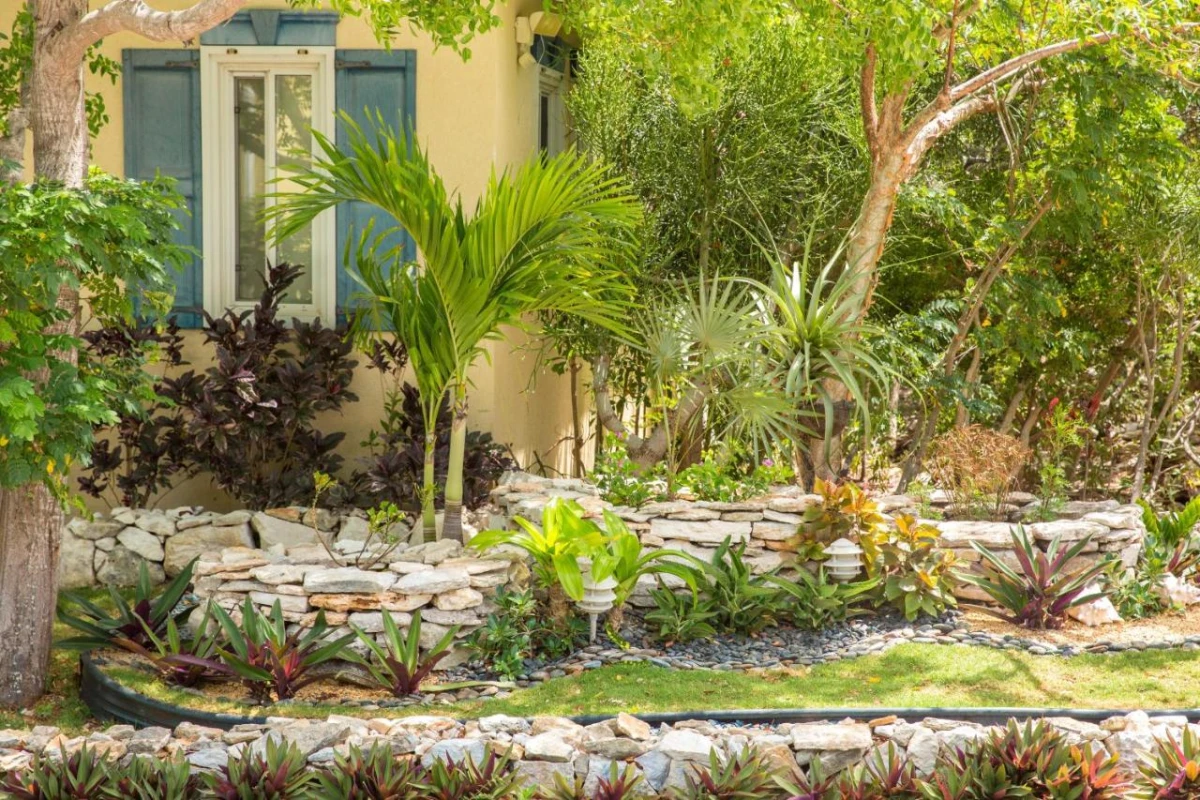 Kokomo Botanical Resort - Hotel Photo 1