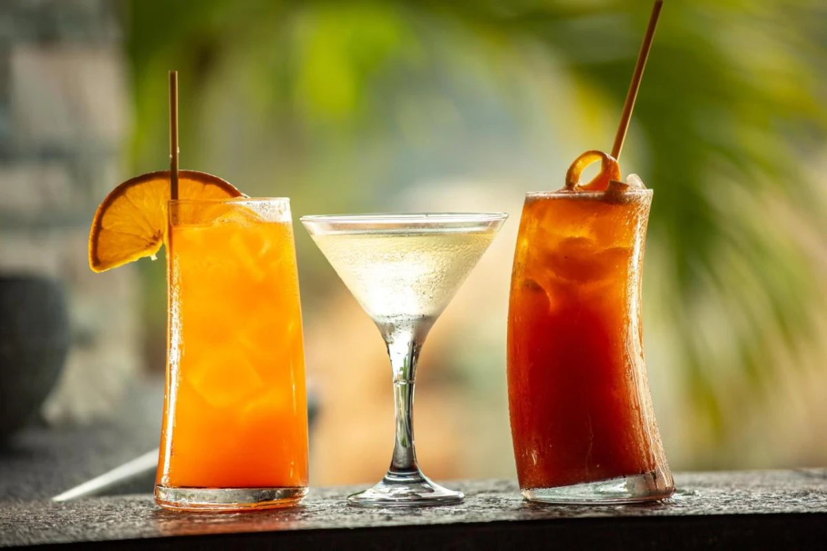 Kokomo Botanical Resort - Hotel Photo 23