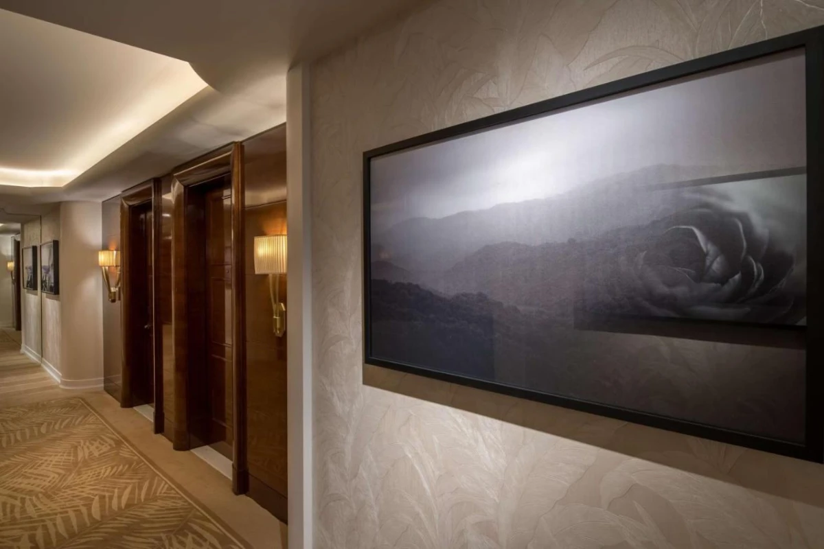 Waldorf Astoria Beverly Hills - Hotel Photo 10