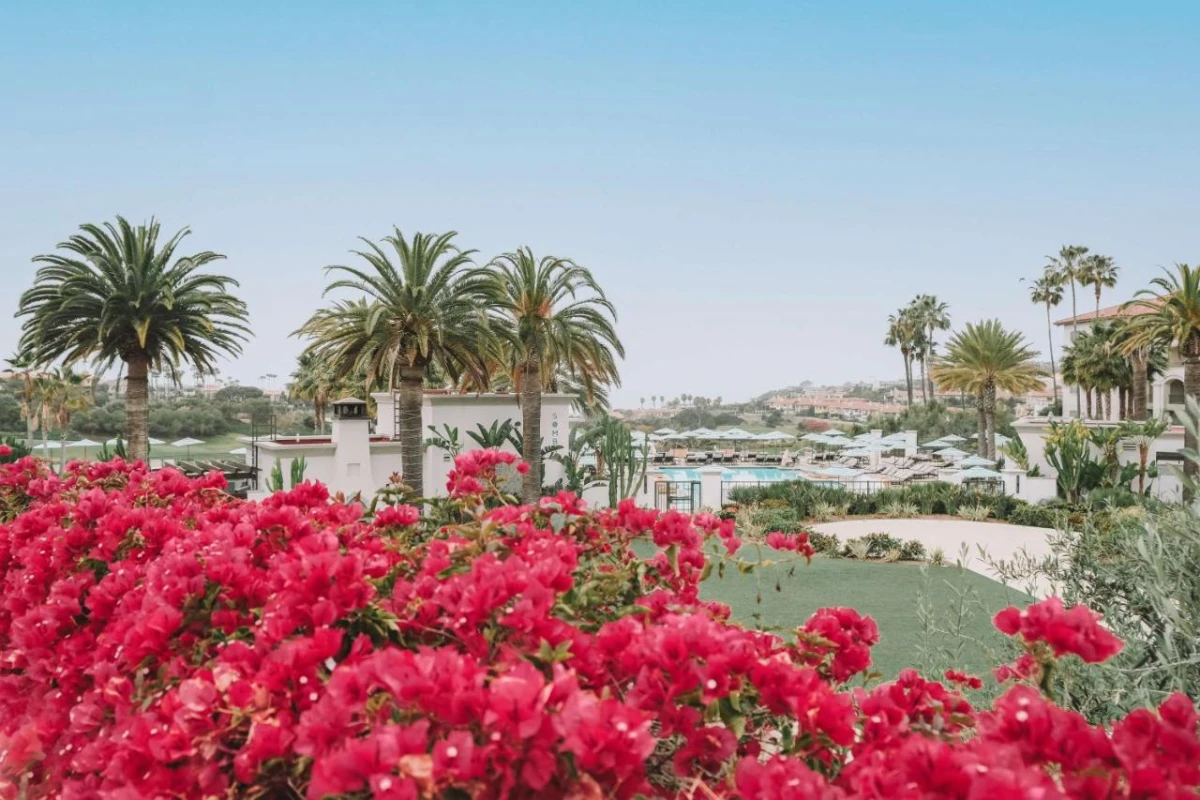 Waldorf Astoria Monarch Beach Resort & Club - Hotel Photo 13