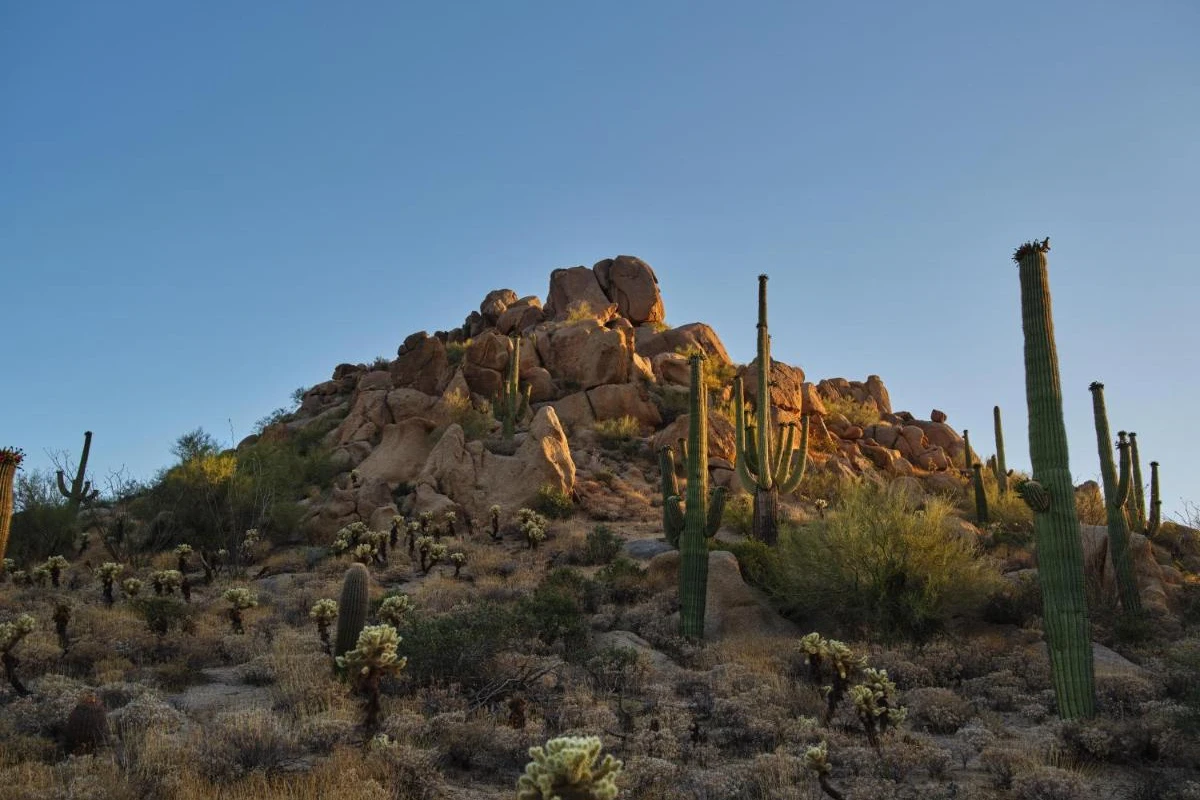 Four Seasons Resort Scottsdale at Troon North - Hotel Photo 25