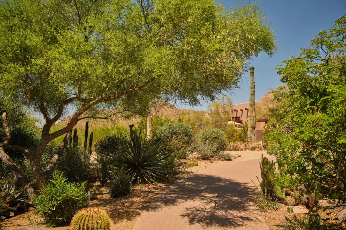 Four Seasons Resort Scottsdale at Troon North - Hotel Photo 28