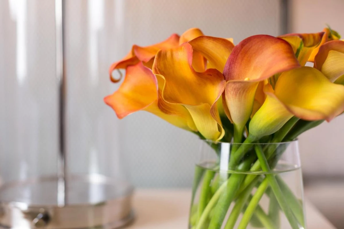 Four Seasons Hotel Atlanta - Hotel Photo 39