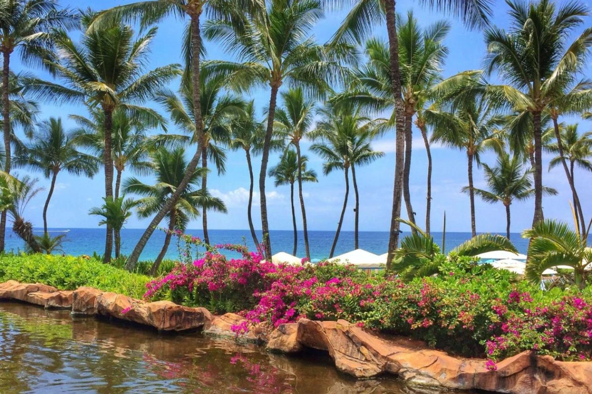 Grand Wailea Resort Hotel & Spa - Hotel Photo 7