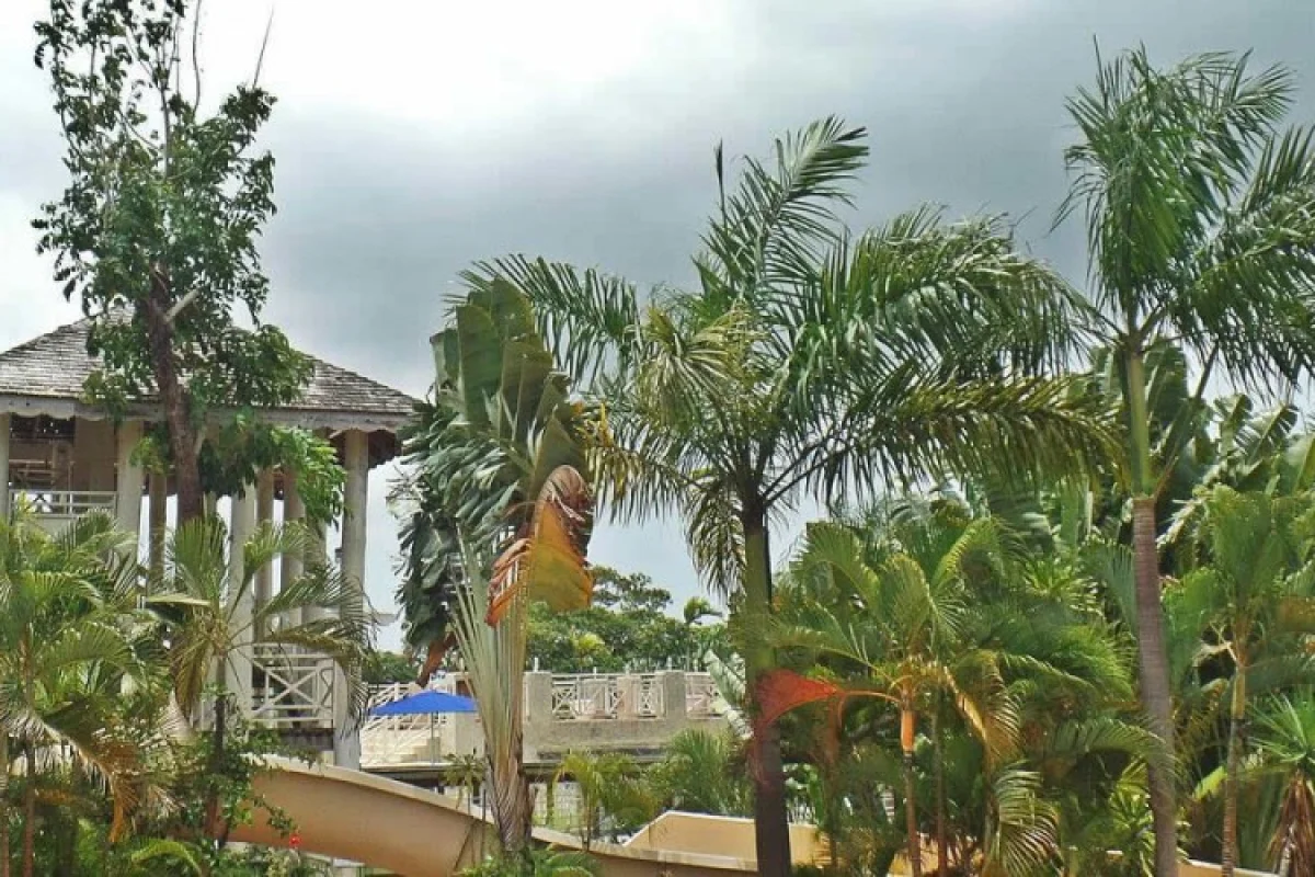 Hedonism II - Hotel Photo 22