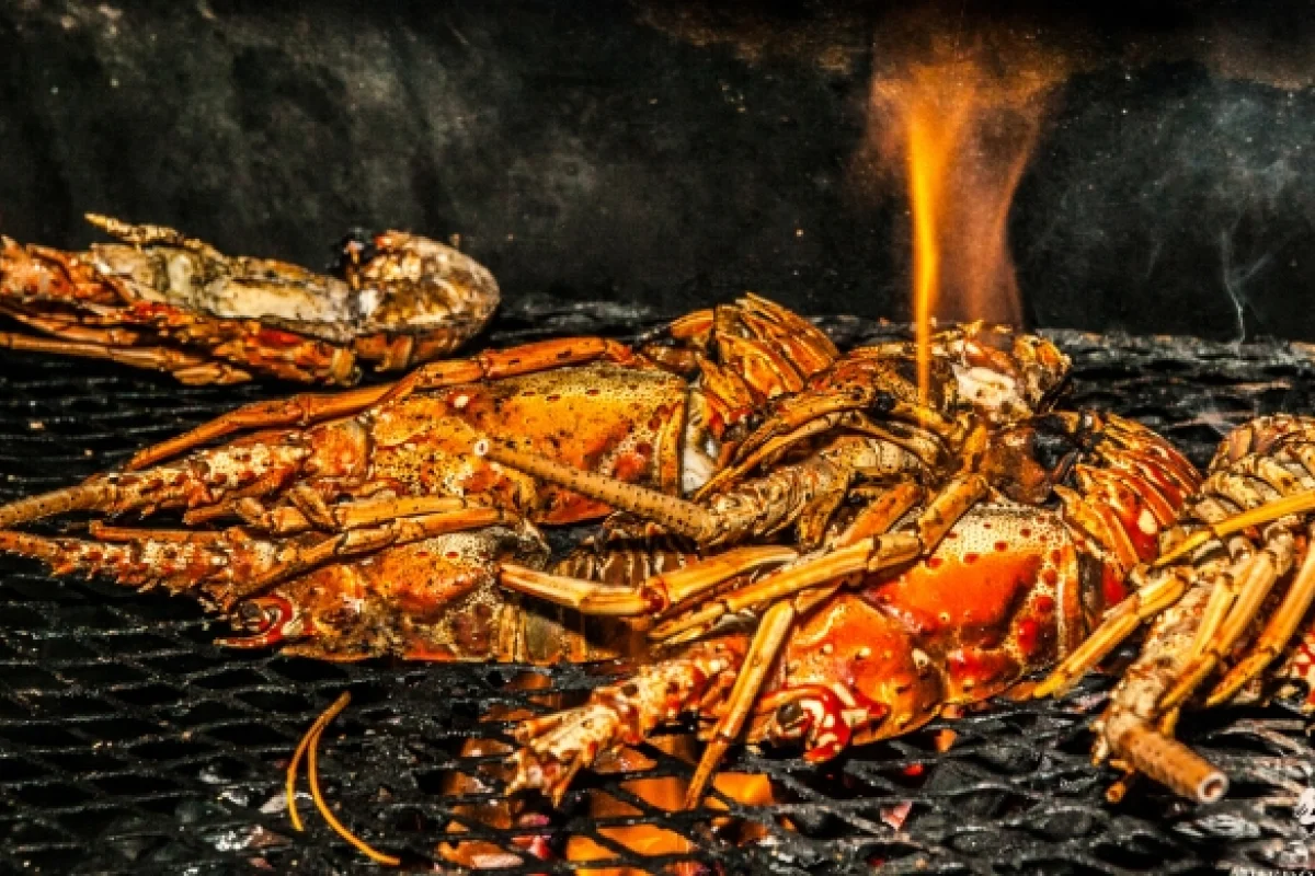 Hedonism II - Hotel Photo 31