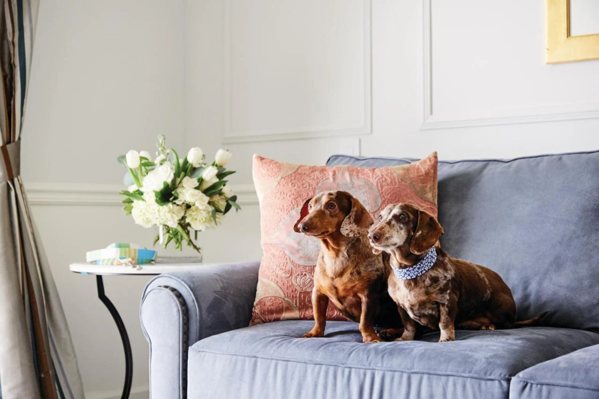 The Charleston Place - Hotel Photo 21