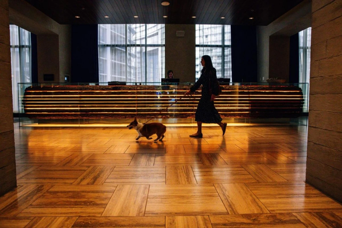 The Douglas Autograph Collection - Hotel Photo 7