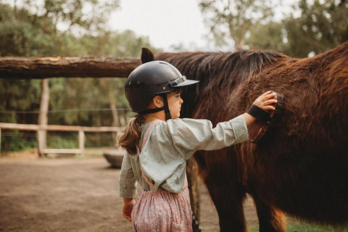 Elements Of Byron - Hotel Photo 37