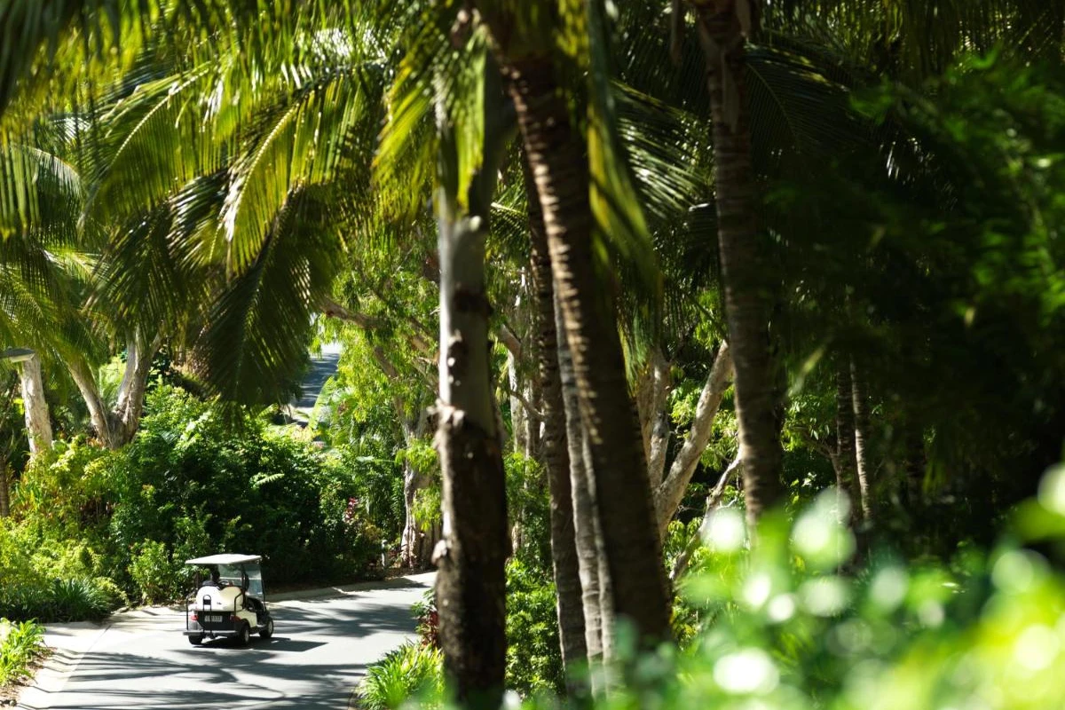 Hamilton Island Beach Club - Hotel Photo 7