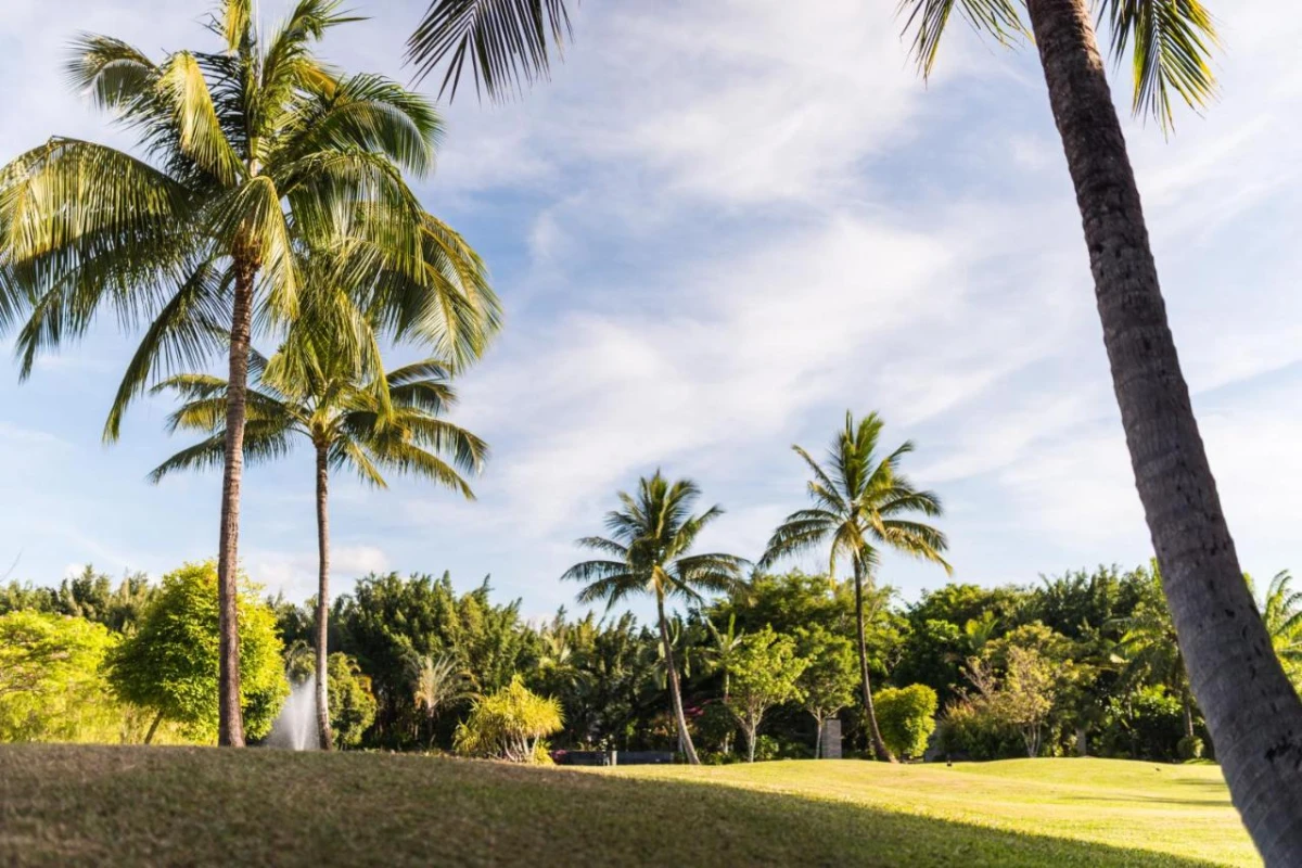 Niramaya Villas & Spa - Hotel Photo 24