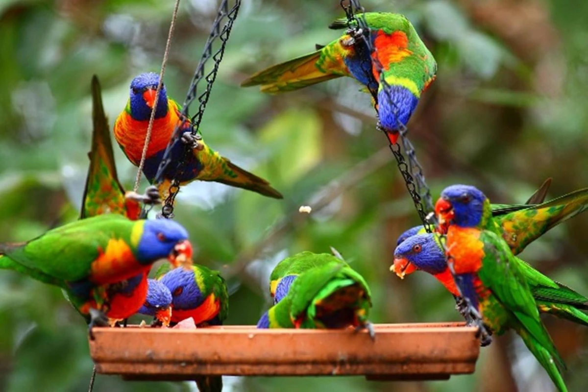 Thala Beach Nature Reserve - Hotel Photo 28