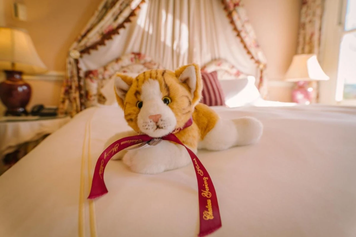 Chateau Yering - Hotel Photo 37